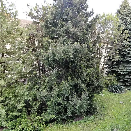 Manu * Hennersdorf
